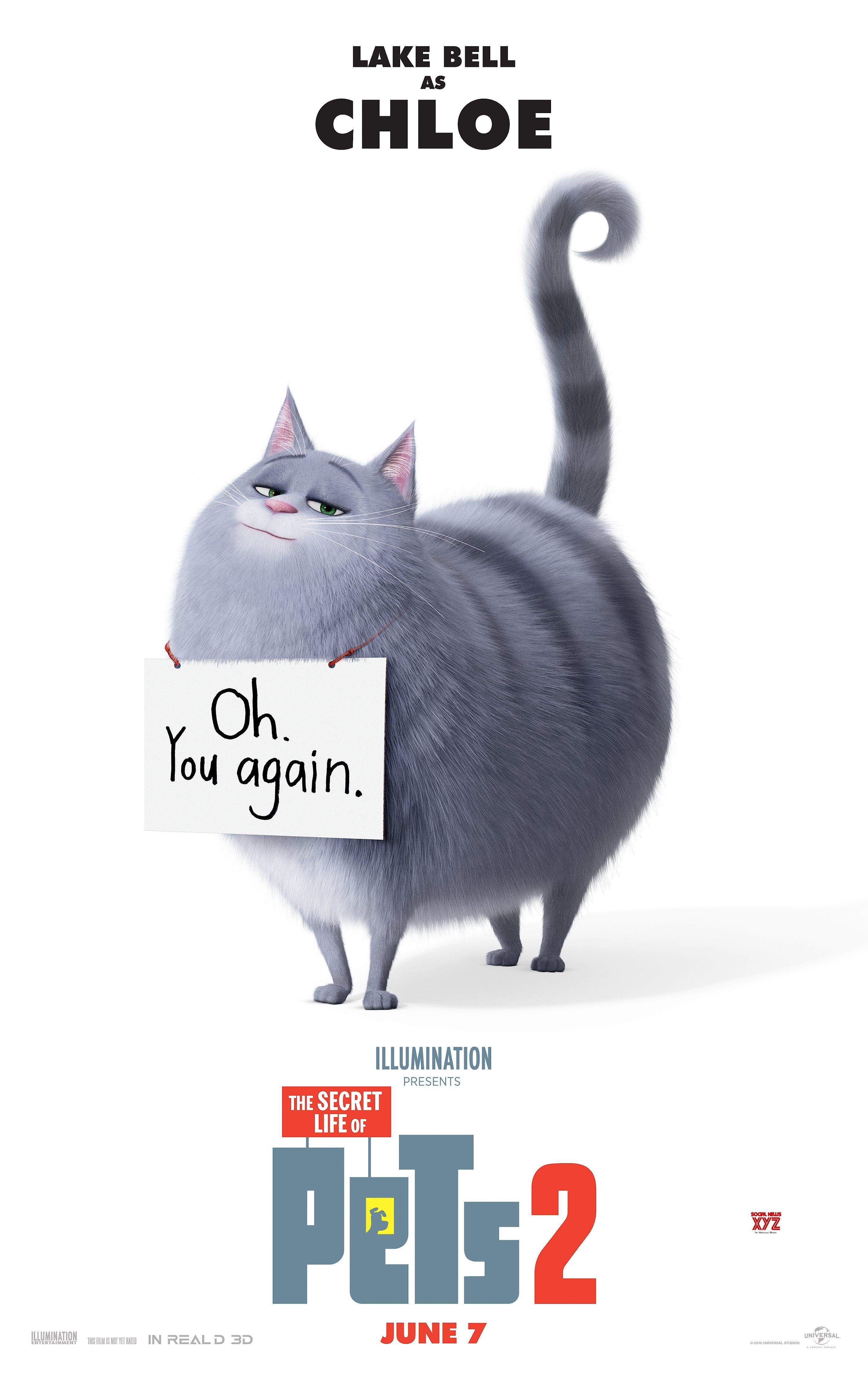 3D: The Secret Life of Pets 2 landscape poster